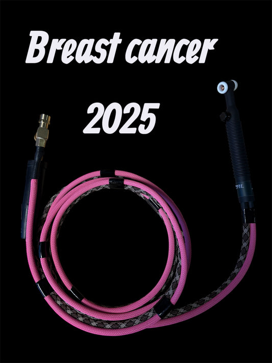 Breast cancer 2025